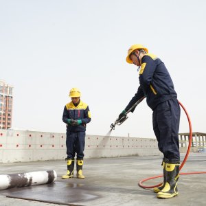 Untitled design (81)